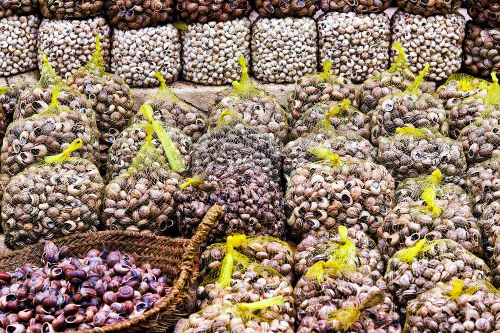 A vibrant display of net bags filled with fresh snails at a local market in Oujda, Morocco.