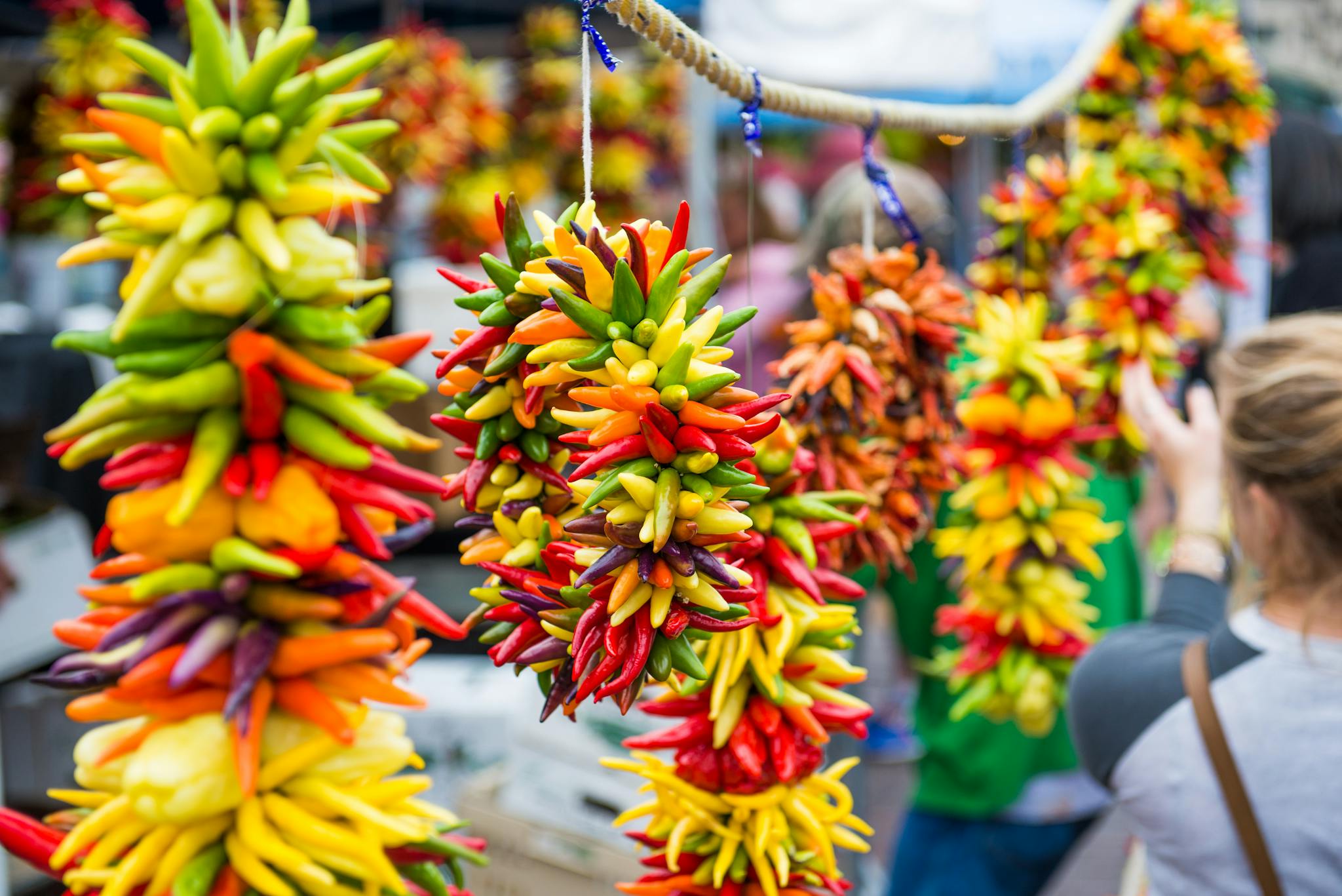 Colorful hanging chili pepper bunches at Seattle market, showcasing diversity in food.